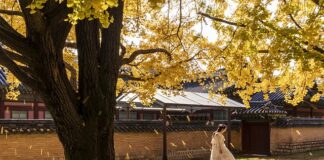 W jakich krajach jest zakazana Nutella?