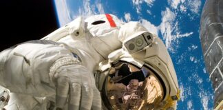 Ile po jedzeniu na spacer z psem?