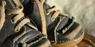 Jak nauczyć psa komendy spokój?