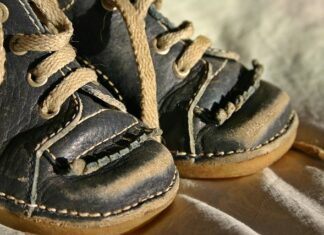 Jak nauczyć psa komendy spokój?