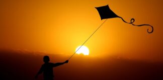 Jak szybko rosną koralowce w akwarium?