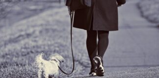 Jak radzić sobie z psami na rowerze?