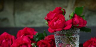 Jak duży pojemnik na odpady?