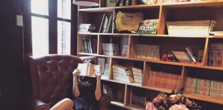 Jak zabezpieczyć fotele samochodowe przed psem?