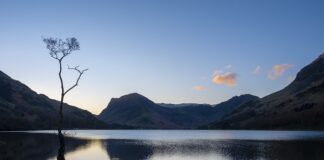 Czy maślanka może służyć jako probiotyk?