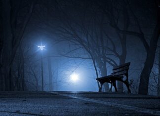 Czy polska kuchnia jest smaczna? Czy polska kuchnia jest smaczna?