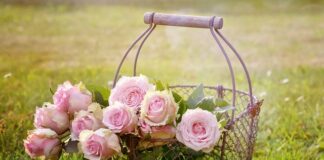 Czy kosze na śmieci muszą być kolorowe?