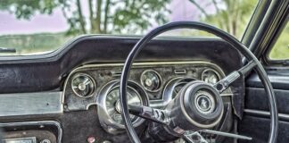 Ile kilometrów na rowerze z psem?