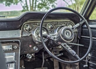 Ile kilometrów na rowerze z psem?