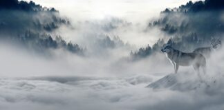 Co można zrobić w słoiki na zimę?