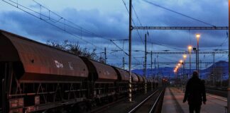 W jakim wieku najlepiej szkolić psa?