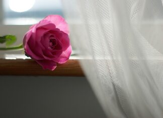 Co zrobić żeby firanki się nie gniotły?