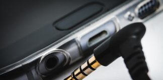 Ile trwa przyzwyczajenie psa do klatki?