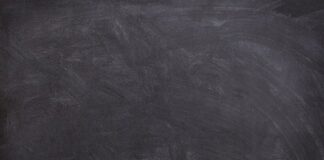 W jakiej kolejności uczyć psa komend?