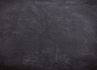 W jakiej kolejności uczyć psa komend?