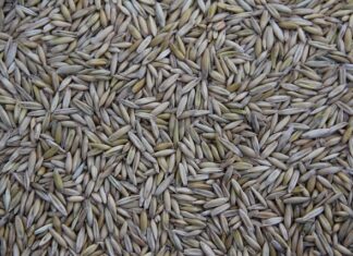 Jaki kraj produkuje najmniej śmieci?