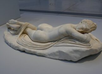 Jak długo żyją koralowce?