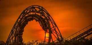 Jak przyzwyczaić psa do jazdy w koszyku?