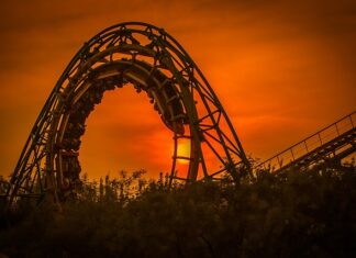 Jak przyzwyczaić psa do jazdy w koszyku? Jak przyzwyczaić psa do jazdy w koszyku?