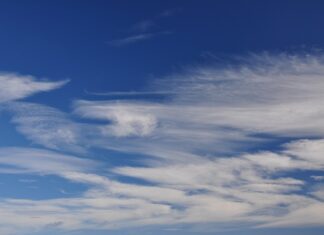 Co to jest klarowny kompot?