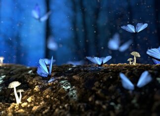 Jakie drewno tonie w wodzie?