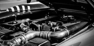 Czy lampa UV zabija glony w akwarium?