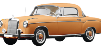 Ile km dziennie z psem?