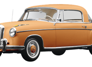 Ile km dziennie z psem?