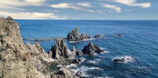 Co to są rafy koralowe?