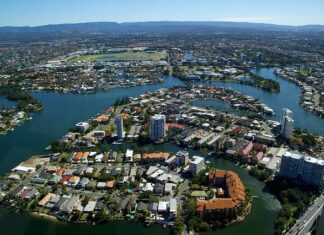 Czy głąb z kalafiora jest jadalny? Czy głąb z kalafiora jest jadalny?