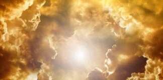 Jaka jest najbardziej trująca roślina w Polsce?