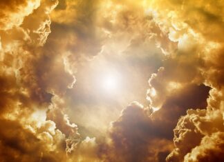 Jaka jest najbardziej trująca roślina w Polsce? Jaka jest najbardziej trująca roślina w Polsce?