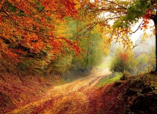 O jakiej porze dnia najlepiej brać probiotyk?