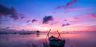 Jaki kolor światła w akwarium?