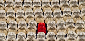 Ile żelatyny do konserwy mięsnej?