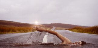 Jakie sporty można uprawiać z psem?